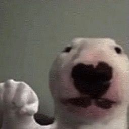 Profile Picture of Lenz (@davidreinbacher) on Tiktok