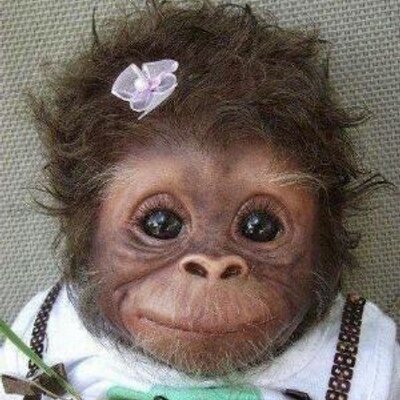 Profile Picture of Chris Cucchiara (@msclvr99) on Twitter