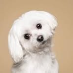 Profile Picture of David Roland (@David-Roland) on Facebook