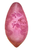 Profile Picture of Paragonimus westermani - Wikipediaon Wikipedia