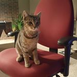 Profile Picture of Darryl Rhodes (@xdarrylr) on Instagram