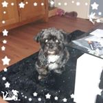 Profile Picture of Joanne Walker (@walkerjoanne306) on Instagram