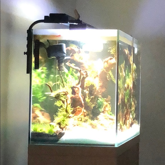 Carlo Carnaghi - Poshmark Profile Picture of Carlo Carnaghi (@tano570) on Poshmark