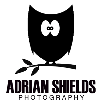 Profile Picture of Adrian Shields (@shieldsterphoto) on Twitter
