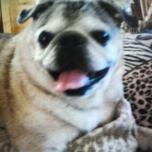 Profile Picture of Eric Ensign (@eric.ensign7) on Tiktok