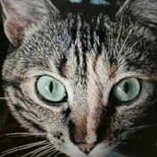 Profile Picture of Haley Rodgers (@haleyrodgers634) on Youtube