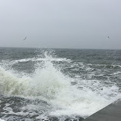 Profile Picture of Samer Hussein (@samerhussein4062) on Youtube