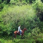 Profile Picture of Benjamin Robles Terán (@benjamin__roblesteran) on Instagram