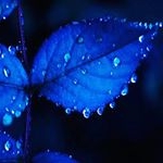 NoelBraun - Instagram Profile Picture of NoelBraun (@noelbraun5024) on Instagram