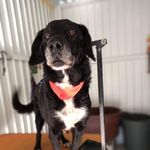 Profile Picture of Isaac Galindo (@daztan_galindo) on Instagram