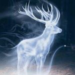 Profile Picture of ADAM (@adam_hyder_313) on Instagram