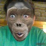Profile Picture of benjamin hillman (@hillman.benjamin) on Instagram