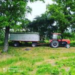 Profile Picture of Adam Harasim (@adam.harasim.14) on Instagram