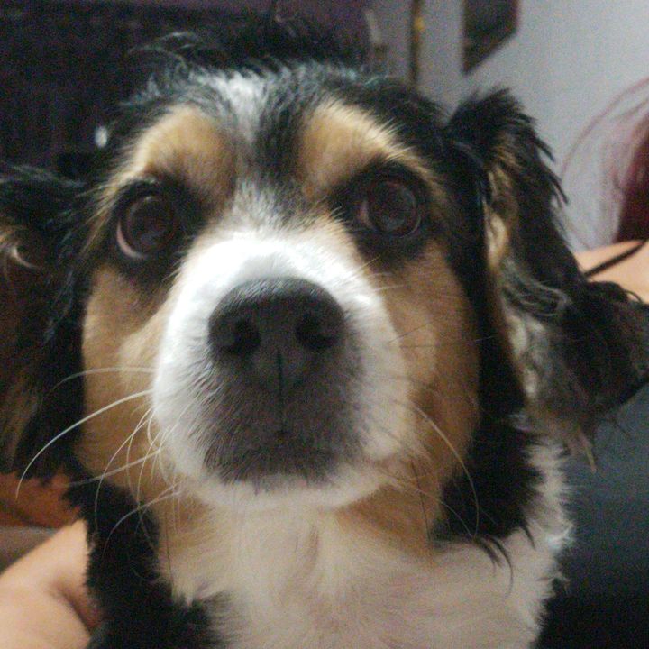 Profile Picture of Terry (@terrybebe9) on Tiktok