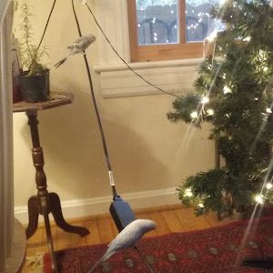 Profile Picture of Laura Close (@laura.close5) on Tiktok