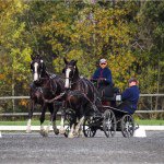 Profile Picture of Michael_photography (@michael_muscho) on Instagram