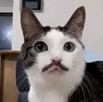 Profile Picture of José Moo (@jose.moo.660309) on Facebook