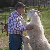 Profile Picture of Dennis Edlund (@dpedlund) on Pinterest