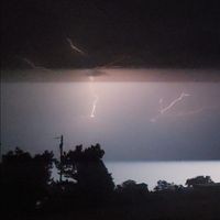 Profile Picture of Craig Pitman (@craig-pitman-15) on Quora