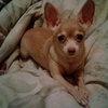 Profile Picture of Eda Rivera (@@edarivera1) on Tiktok