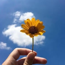 💛🌼Huttie🌼💛 - Tiktok Profile Picture of 💛🌼Huttie🌼💛 (@huttie1709) on Tiktok