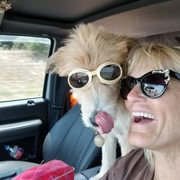 Profile Picture of Sharon Lowe (@sharon-lowe-34) on Quora