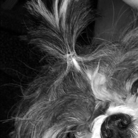 Profile Picture of Vivian Maxwell (@vivianmaxwell64) on Poshmark