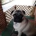 Profile Picture of James Herren (@james.herren.524) on Facebook