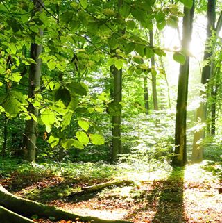 Profile Picture of Reuben Atkinson (@reuben.atkinson.58) on Facebook