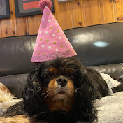 Profile Picture of Erica Downing (@ericadowning2002) on Youtube