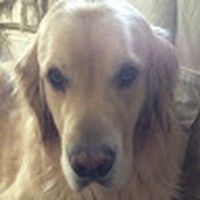 Profile Picture of Sean Lutz (@sean-lutz-13) on Quora