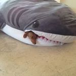 Profile Picture of Vicky Vaughn Murphy (@vicky.murphy1) on Instagram