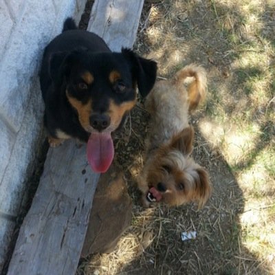 Profile Picture of Andrew Macnaughton (@AndrewmacAndrew) on Twitter