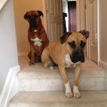 Profile Picture of Jeff Raney (@arlo317) on Instagram