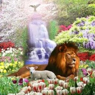 Profile Picture of Maurice Walters (@maurice_walters) on Twitter