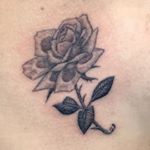 Profile Picture of Nick__Rose__ (@nick__rose___) on Instagram