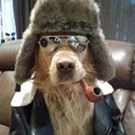 Profile Picture of Jon Fuchs (@fuchsjon) on Instagram
