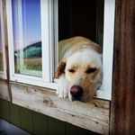 Profile Picture of Robert Mcmanigle (@robertmcmanigle) on Instagram
