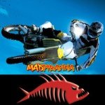 Profile Picture of Shaun Handley (@shaunhandley) on Instagram