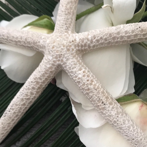 Profile Picture of Rachel Gabany (@yabeach) on Poshmark