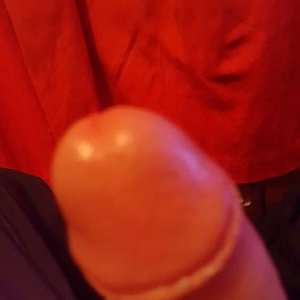 Profile Picture of Steve Havens (@Trade_with_me__) on Twitter