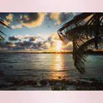 Jeanine - Instagram Profile Picture of Jeanine (@jeaninexrdsparks) on Instagram