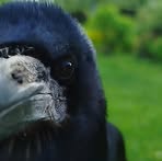 Profile Picture of Tomáš Talač (@Tomáš-Talač) on Facebook