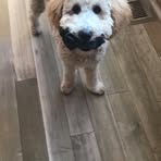 Profile Picture of Ruby Scooter (@ruby.scooter.94) on Facebook