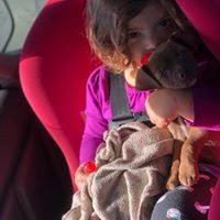 Profile Picture of Amanda Bowling (@amanda-bowling-11) on Quora