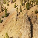 Profile Picture of Tony Aguilera (@_aaguilera_) on Instagram