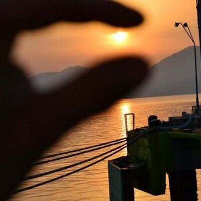 Profile Picture of Kit Yu (@kityu1) on Twitter