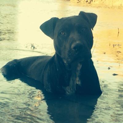 Profile Picture of Nick Jenkins (@NickJenks577268) on Twitter