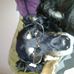 Profile Picture of Graham Stanley (@graham.stanley.10048) on Facebook