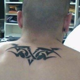 Profile Picture of Fernando Urea (@finsfan714) on Myspace